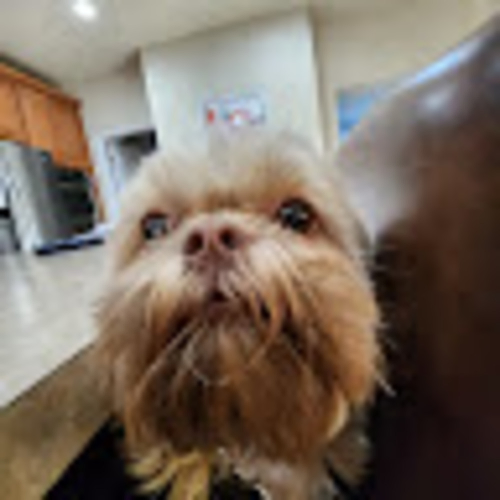 Meet your Posher, Cj